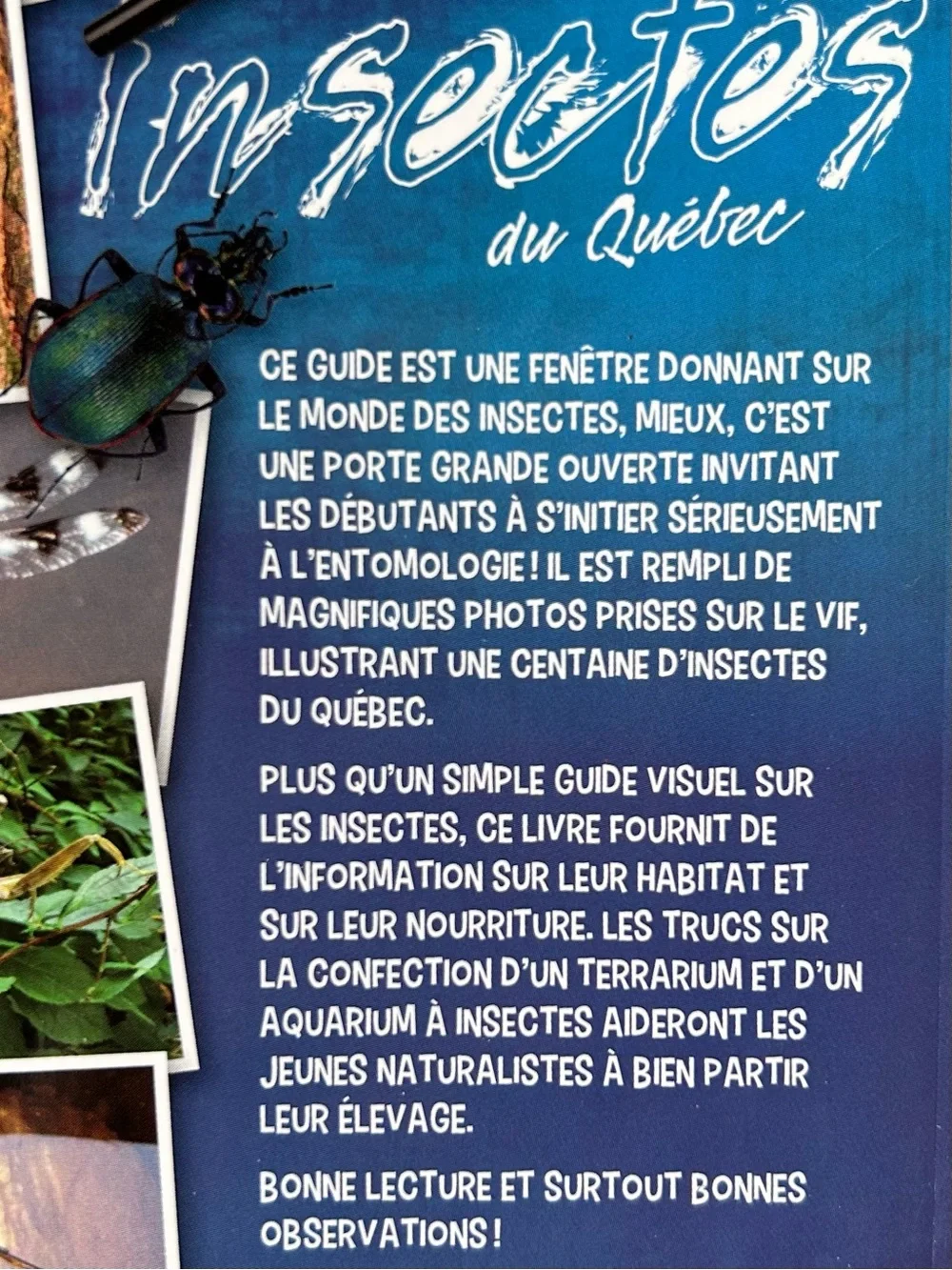 FRENCH ~ Insectes du Québec (Guide Jeunes explorateurs) ~ Brand New! - Picture 6 of 6